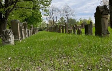 Reinigung der Grabsteine jüdischer Friedhof Grünstadt