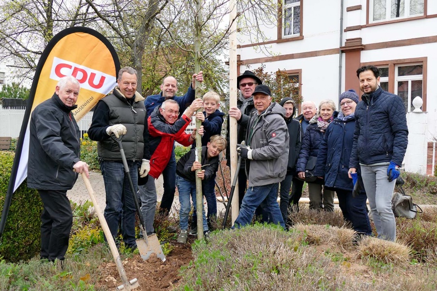 Jubiläumsbaum 70 Jahre CDU