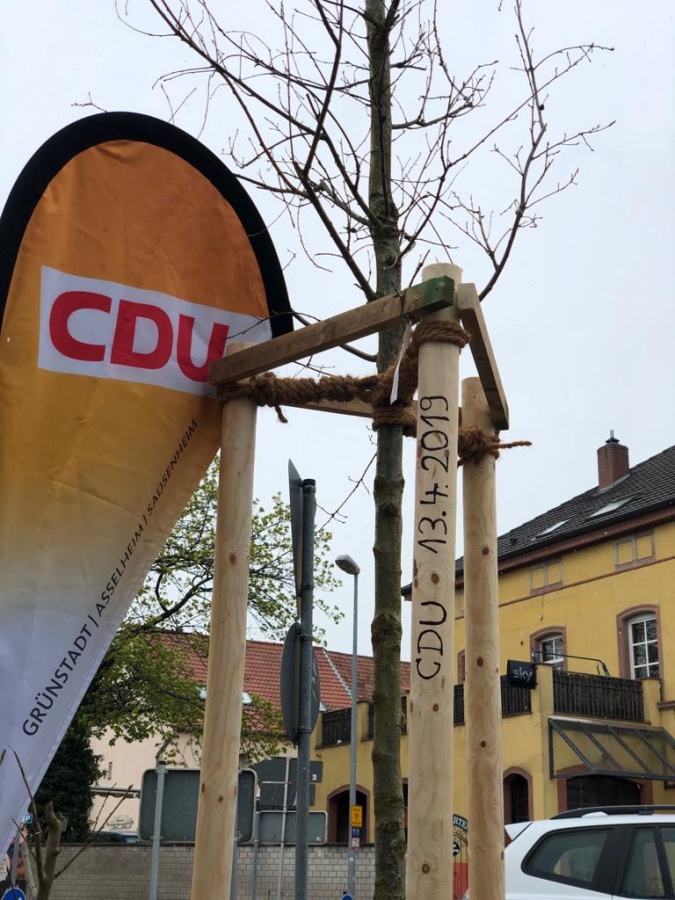 Jubiläumsbaum 70 Jahre CDU