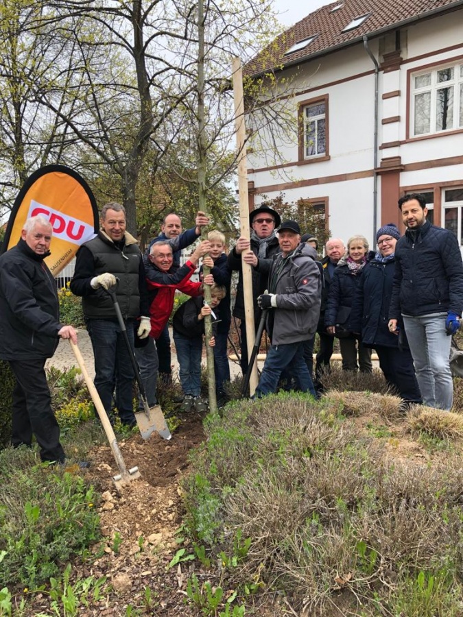 Jubiläumsbaum 70 Jahre CDU