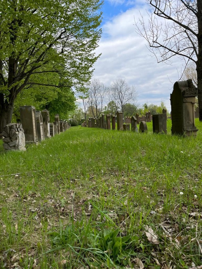 Reinigung der Grabsteine jüdischer Friedhof Grünstadt