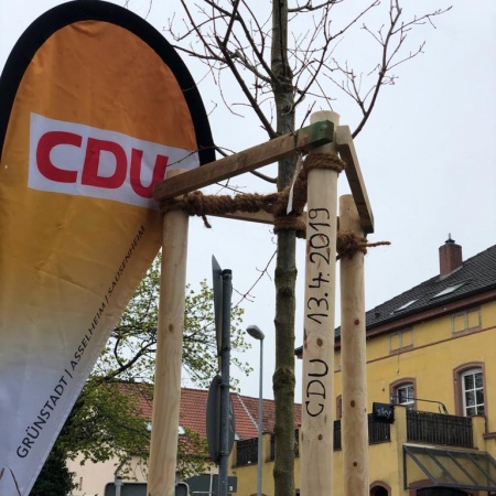 Größeres Bild ansehen